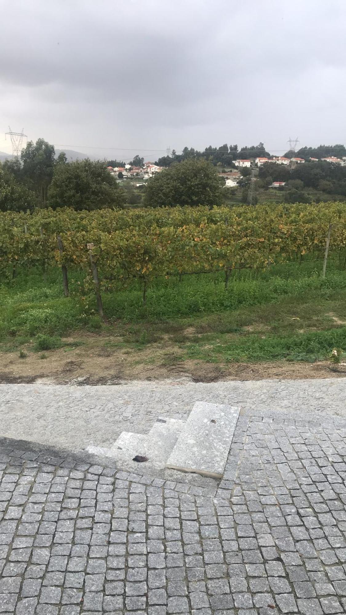 Casa Nova Βίλα Γκιμαράες Εξωτερικό φωτογραφία
